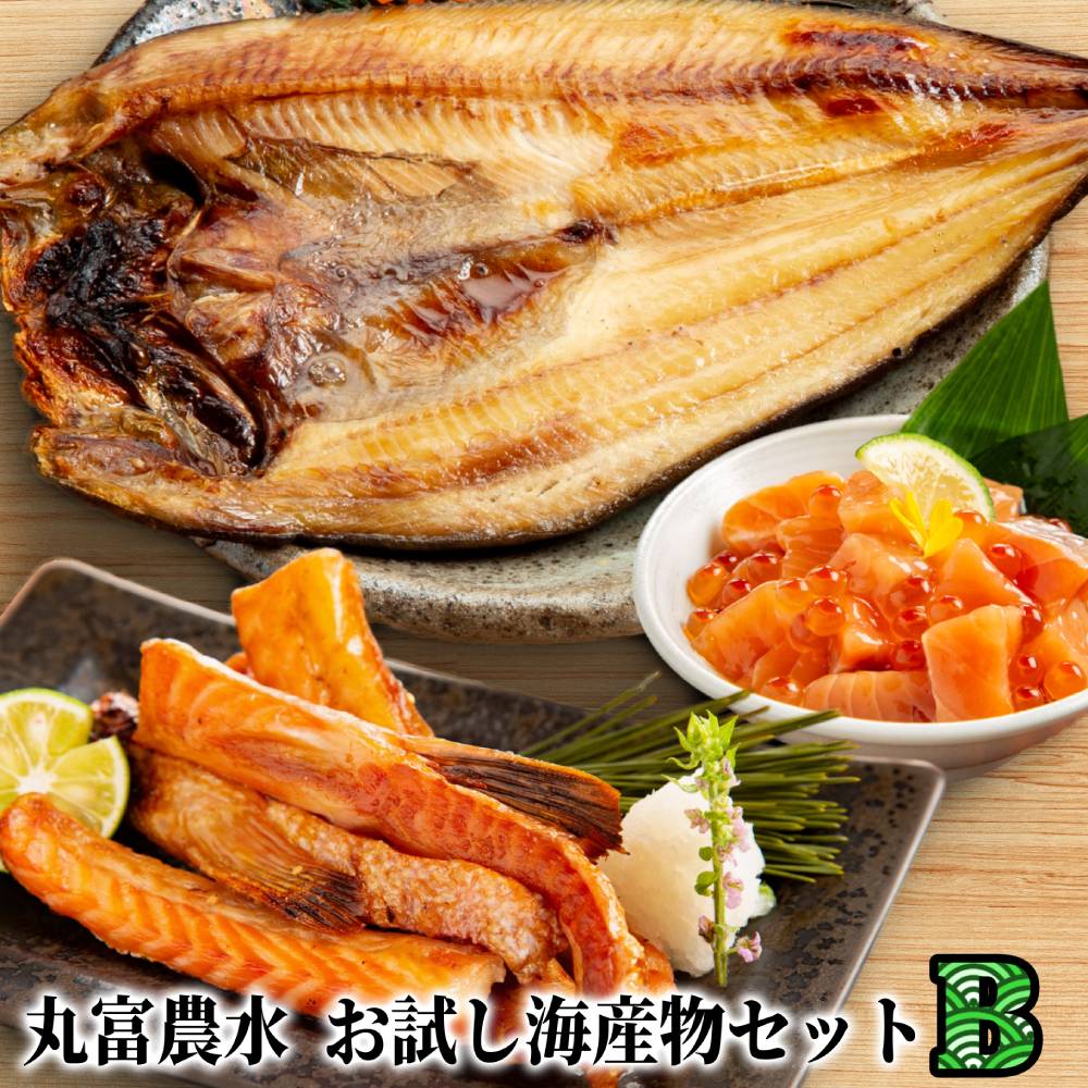 13-362 【年内配送12月15日入金まで】丸富農水お試し海産物セットＢ within2025