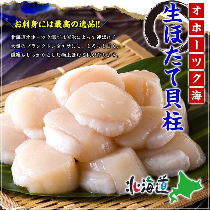 【北海道紋別市】24-121 【甲羅組】【訳あり】ほたて貝柱 1kg【欠け/サイズ不揃い】