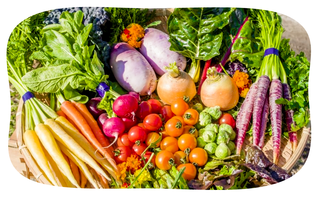 フレッシュグループ淡路島彩り野菜と香るハーブセット　[野菜セット 野菜詰め合わせ]