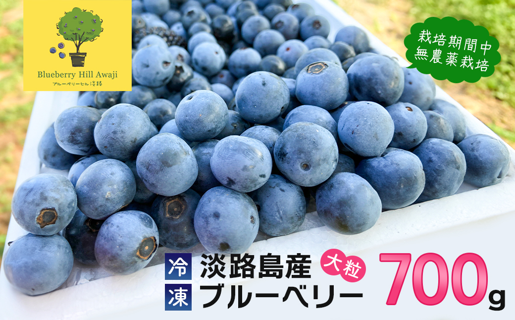 yɌWHszyWHYz嗱u[x[ 700g Ⓚʁs͔|ԒA_͔|t@u[x[