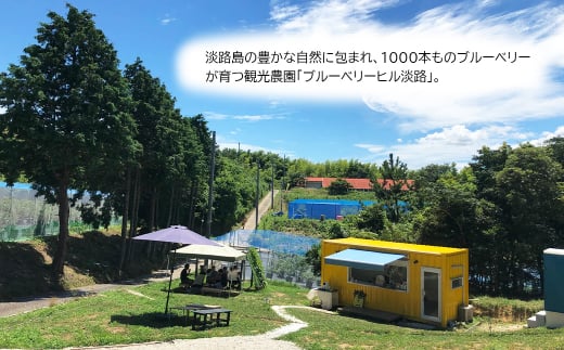 【淡路島産】大粒ブルーベリー 700g 冷凍生果《栽培期間中、無農薬栽培》　ブルーベリー