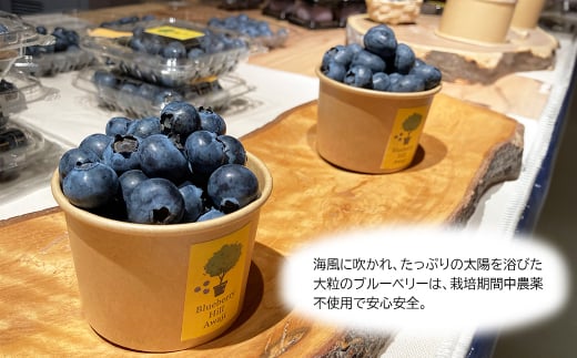 【淡路島産】大粒ブルーベリー 700g 冷凍生果《栽培期間中、無農薬栽培》　ブルーベリー