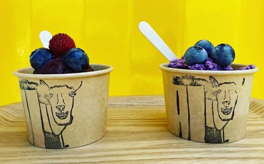 【淡路島産】大粒ブルーベリー 700g 冷凍生果《栽培期間中、無農薬栽培》　ブルーベリー