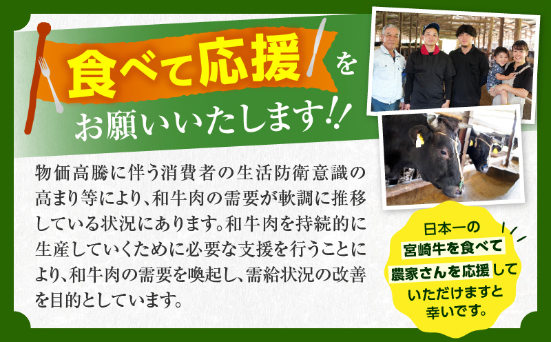 宮崎県日南市のふるさと納税 【8月末までにお届け】【畜産農家応援】リピーター続出!!数量限定 厳選 宮崎牛 赤身 焼肉 計1kg 粗挽きウインナー 牛肉 国産 BBQ すき焼き 人気 黒毛和牛 肩ウデ モモ しゃぶしゃぶ A4 A5 等級 ギフト 贈答 小分け 食品 選べる ステーキ スライス ミヤチク 宮崎県 日南市 送料無料_CB104-25-ZO-08