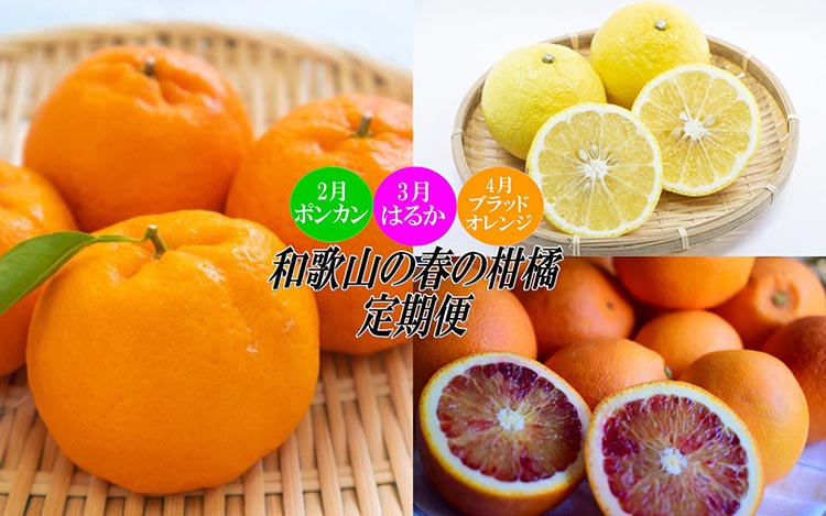【和歌山県美浜町】〈定期便〉【2・3・4月 全3回】和歌山の春の柑橘(ポンカン・はるか・ブラッドオレンジ)|フルーツ ふるーつ 果物 くだもの 詰め合わせ 果物定期便 春 旬 みかん オレンジ 国産 産地直送 美浜町厳選館 美浜町
