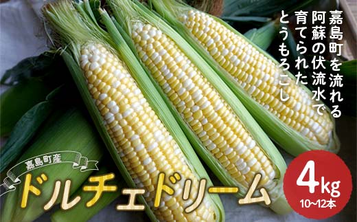 �y�F�{���Ó����zFK7-0231_ �y��s�\��z�Ó����Y�h���`�F�h���[��4kg ���ߘa8�N4�����{��蔭���J�n ��� �Ƃ����낱�� �g�E�����R�V �Â� �W���[�V�[ �h���`�F�h���[�� �Ó���