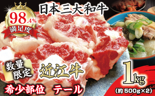 yꌧߍ]szʌ@󏭕ʁ@ߍ]e[1kgi500g×2jyFO36Wz