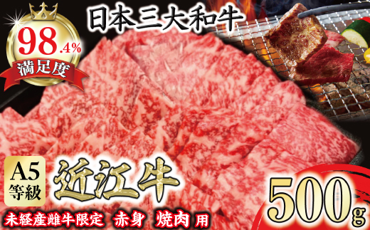 A5等級未経産雌牛　特撰近江牛 赤身 焼肉 500g 折箱入り ギフト【FO40W】