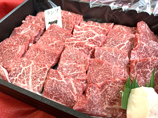 A5等級未経産雌牛　特撰近江牛 赤身 焼肉 500g 折箱入り ギフト【FO40W】