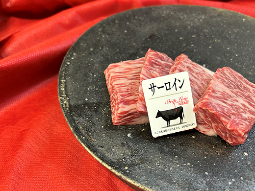 特撰近江牛おすすめ部位　焼肉3種300ｇ＆近江牛生ハンバーグ６個セット【FO41W】