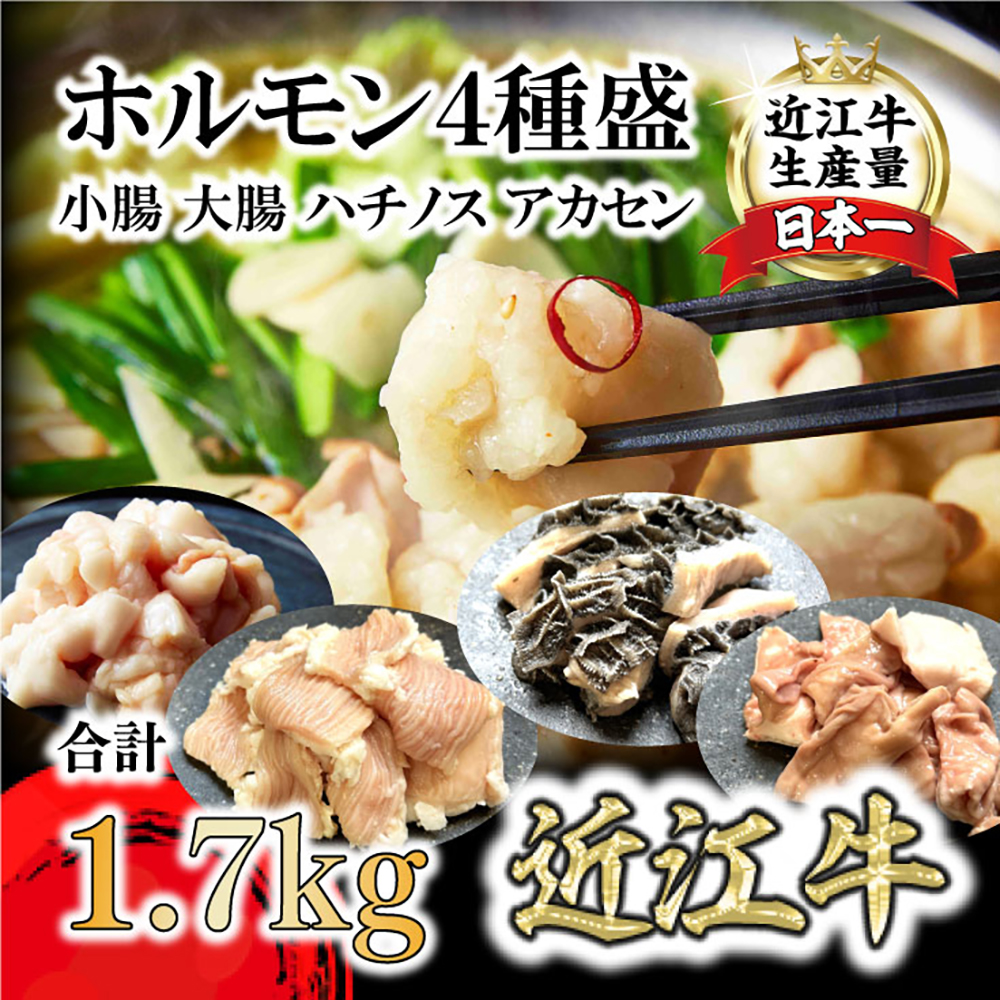 希少近江牛ホルモン４種盛（小腸 大腸 ハチノス アカセン）計1.7kg【FO43W】