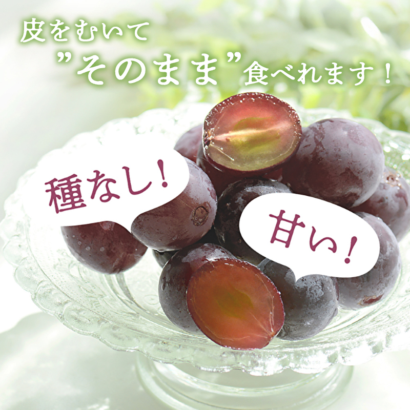 ゴールデンベリーA 約2kg 3～5房 【2025年産 予約受付】 ぶどう