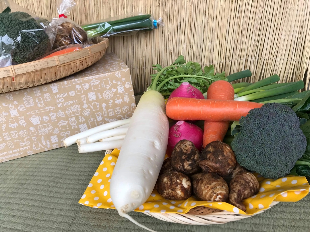 【10ヵ月定期便】【栽培期間中無農薬＆減農薬】季節の野菜ハーフセット（6～7品）【自然 健康 農薬 なし 減農薬 美味しい 安全 やさい 10回 鹿嶋市】（KBE-112）