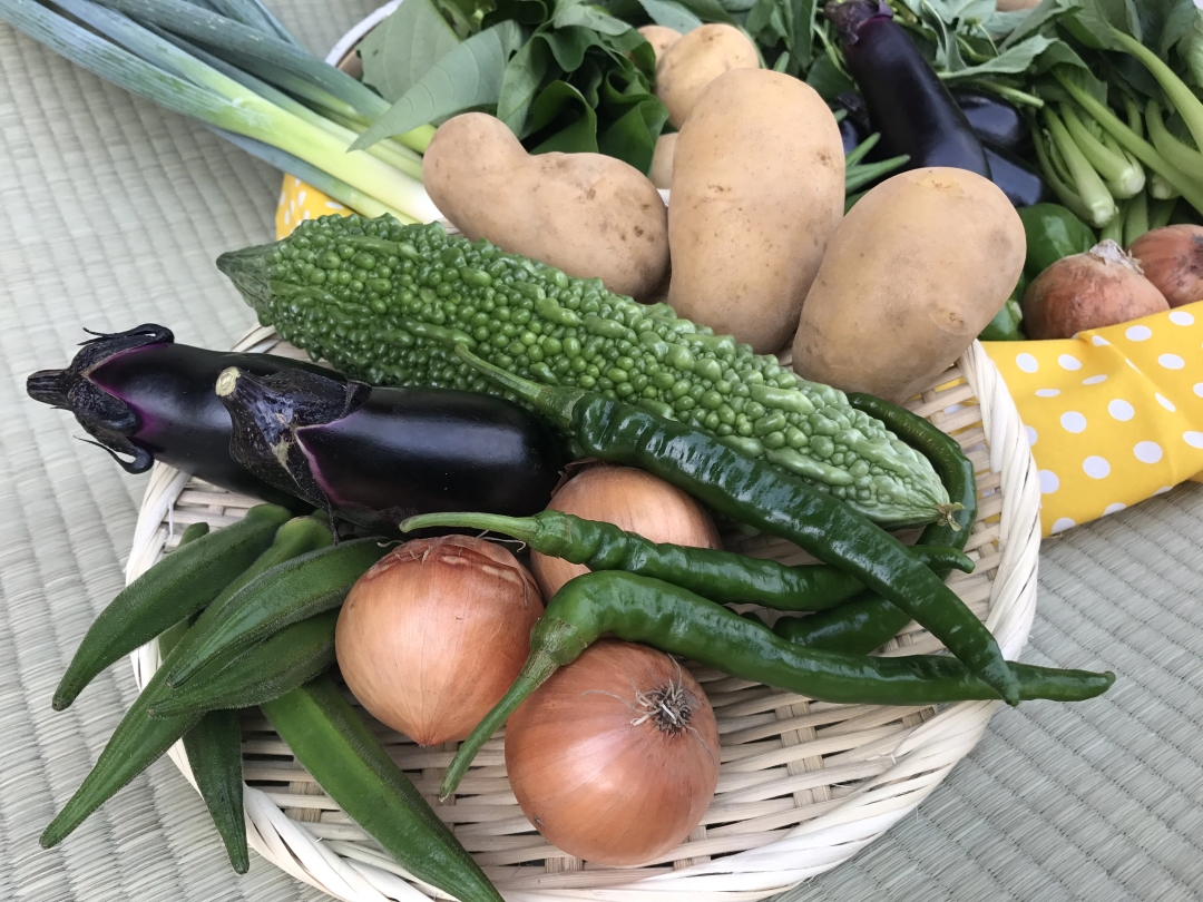 【10ヵ月定期便】【栽培期間中無農薬＆減農薬】季節の野菜ハーフセット（6～7品）【自然 健康 農薬 なし 減農薬 美味しい 安全 やさい 10回 鹿嶋市】（KBE-112）