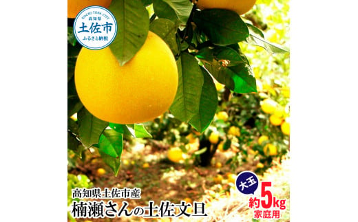 ymyszys\z퐣̓yU ƒp 5kg 5L 4L`2L Ԃ񂽂 u^ t[c k ݂ ʕ  k fU[g  ς  Â  Y