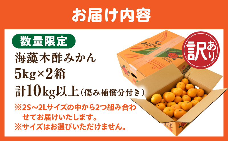 宮崎県日南市のふるさと納税 訳あり 数量限定 海藻木酢みかん 計10kg以上 傷み補償分付き フルーツ 果物 くだもの 柑橘 みかん 国産 期間限定 食品 家庭用 自宅用 B品 わけあり オレンジ デザート おやつ おすすめ おすそ分け ご褒美 お取り寄せ グルメ 産地直送 宮崎県 日南市 送料無料_BBV4-25