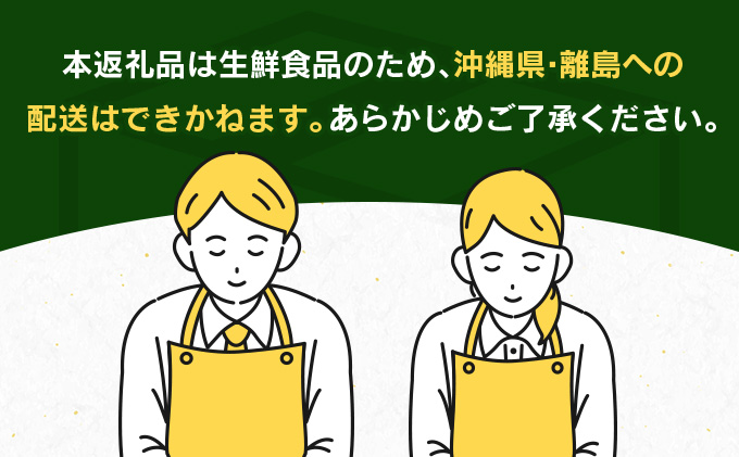 宮崎県日南市のふるさと納税 訳あり 数量限定 海藻木酢みかん 計10kg以上 傷み補償分付き フルーツ 果物 くだもの 柑橘 みかん 国産 期間限定 食品 家庭用 自宅用 B品 わけあり オレンジ デザート おやつ おすすめ おすそ分け ご褒美 お取り寄せ グルメ 産地直送 宮崎県 日南市 送料無料_BBV4-25