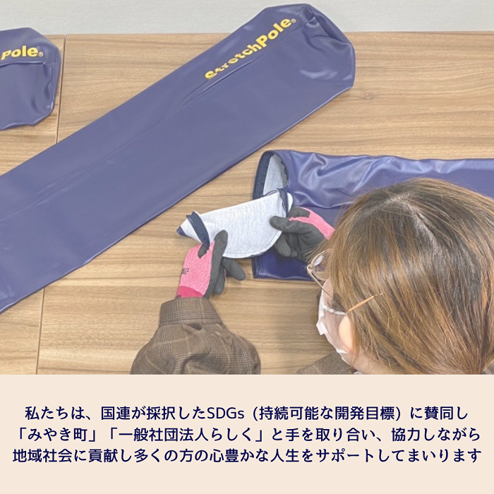 そうさん　ストレッチポール　受注制作品 FI004_【限定色】「ストレッチポールEX」（LPN社製）一流