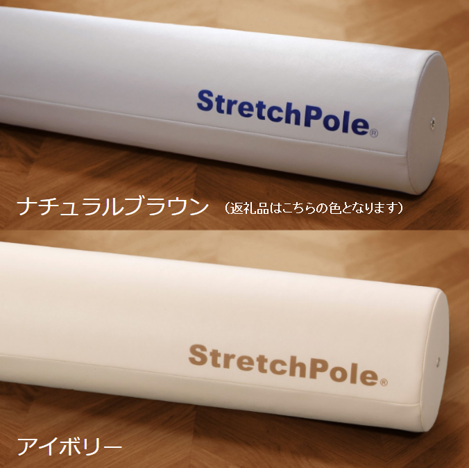 FI004_【限定色】「ストレッチポールEX」（LPN社製）一流