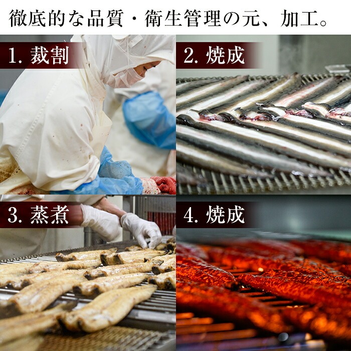 鹿児島県志布志市のふるさと納税 鹿児島県産うなぎ蒲焼 名水慈鰻 特大5尾(1尾190g以上)＜計950g以上＞ c5-035