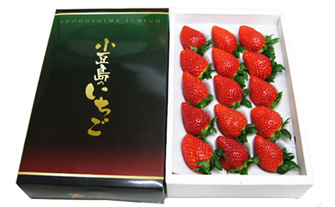 y쌧yzy  zy2̔ẑij400g ϔ×2 ʕ  C`S