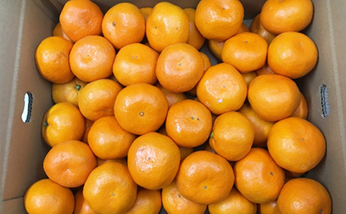 【 小豆島 】小豆島 みかん 約5kg　 果物類 柑橘類 フルーツ ミカン 蜜柑 