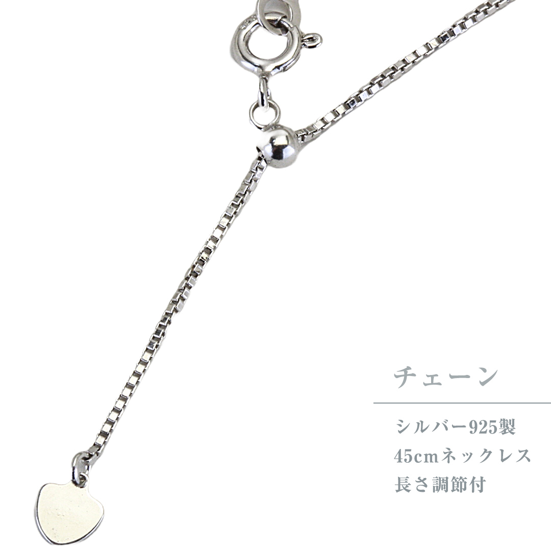 Pt1000 純プラチナ フォースコイン 1/25oz ペンダントトップ プラチナ ネックレス ジュエリー アクセサリー ギフト プレゼント 贈り物  [AH119sa] / 茨城県桜川市 | セゾンのふるさと納税