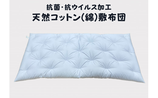抗菌・抗ウイルス　極上もめん綿(コットン）入り　敷布団【CW121U】