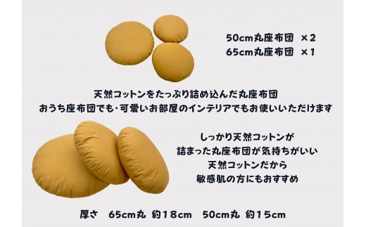 家族で楽しむ丸座布団　くまがつくれるフエルト付き（リデュウ）【CW122W】