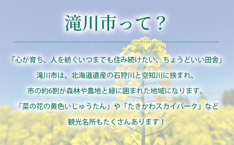 滝川市 ふるさと支援 寄附のみの応援受付 4,000円コース（返礼品なし 寄附のみ 4000円）