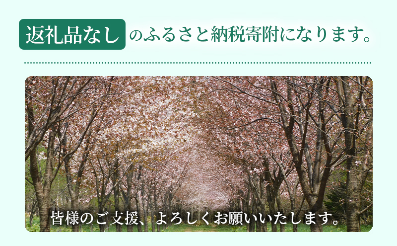 滝川市 ふるさと支援 寄附のみの応援受付 4,000円コース（返礼品なし 寄附のみ 4000円）