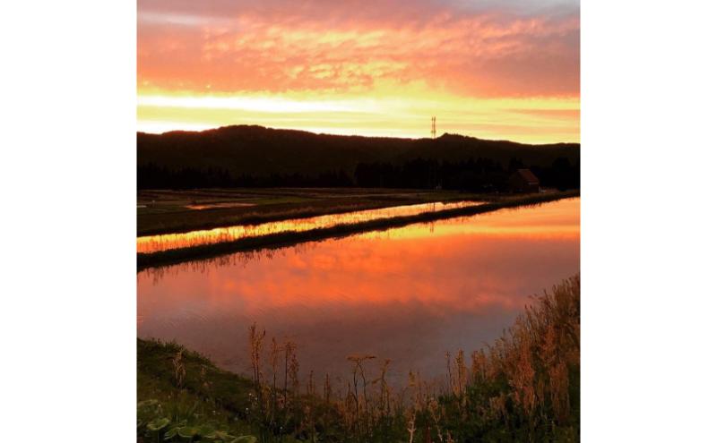 【通年受付】令和7年産魚沼産特別栽培米コシヒカリ［清津の恵］精米5kg　全3回 十日町市 十日町 米