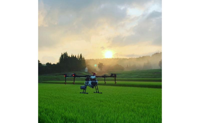 【通年受付】令和7年産魚沼産特別栽培米コシヒカリ［清津の恵］精米10kg（5kgx２袋）全6回 十日町市 十日町 米