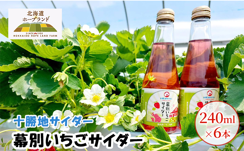 十勝地サイダー「幕別いちごサイダー」240ml×6本【北海道ホープ