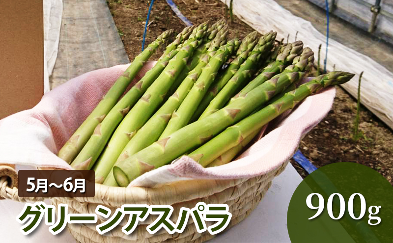 北海道幕別町のふるさと納税 十勝幕別 北の畑のオーナーさん 人気の旬野菜 年3回定期便［2026年5月出荷開始］北海道ホープランド農場 【 アスパラ とうもろこし コーン じゃがいも ジャガイモ 玉ねぎ 野菜 定期便 】