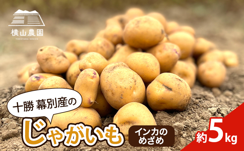 ykCʒzs\/2026NH kC \ ʎY Ⴊ CĴ߂ 5kgyR_z    tCh|eg |eg`bvX ϐFɂ ϕꂵɂ F kC̃WKC