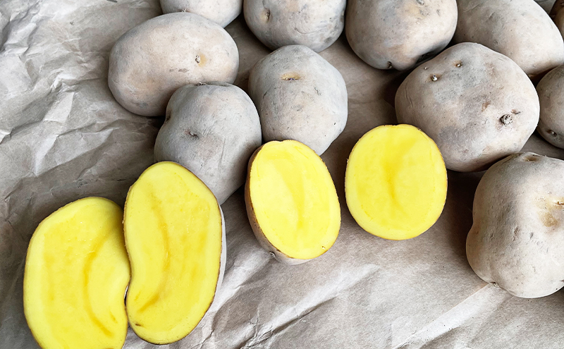 先行予約/2026年秋発送 北海道 十勝 幕別産 じゃがいも インカのめざめ 約5kg【横山農園】  野菜 根菜 フライドポテト ポテトチップス 変色しにくい 煮崩れしにくい 黄金色 北海道のジャガイモ 