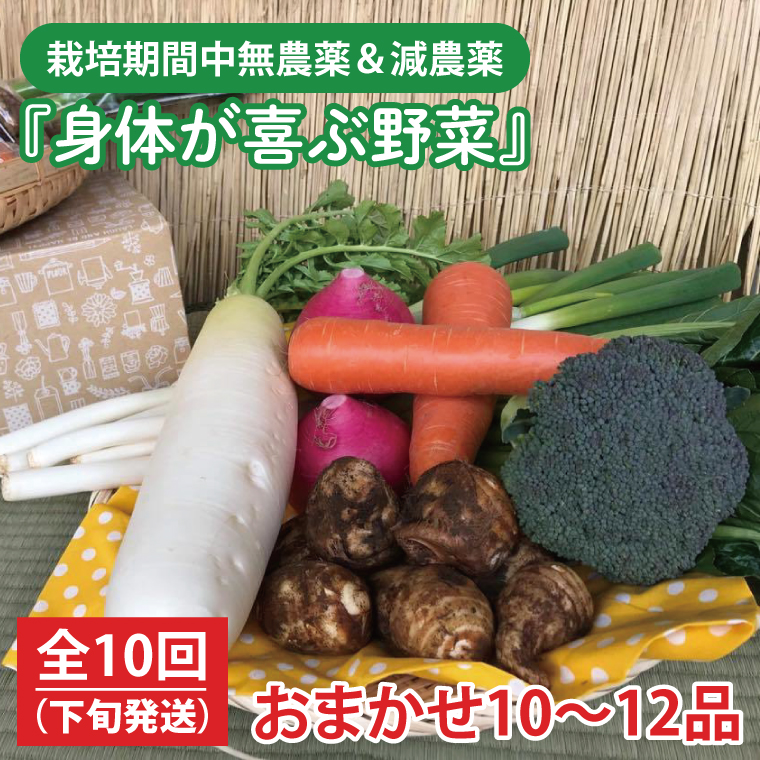 【発送月固定定期便】栽培期間中無農薬＆減農薬『身体が喜ぶ野菜』おまかせ10～12品（下旬発送）全10回 【新鮮 やさい ベジタブル 安心 安全 おいしい ランダム】（KBE-115）