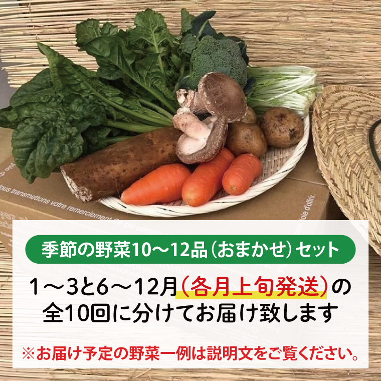 【発送月固定定期便】栽培期間中無農薬＆減農薬『身体が喜ぶ野菜』おまかせ10～12品（上旬発送）全10回 【新鮮 やさい ベジタブル 安心 安全 おいしい ランダム】（KBE-114）