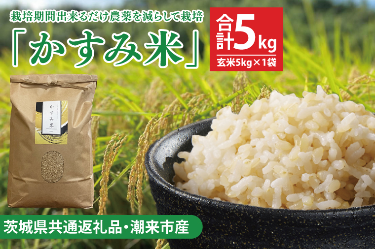 【茨城県共通返礼品・潮来市産】【先行予約】令和7年産新米 栽培期間出来るだけ農薬を減らして作る「かすみ米」（コシヒカリ）玄米5kg 【げんまい 減農薬 こしひかり おいしい おこめ 安心 安全 健康】（KBE-108）