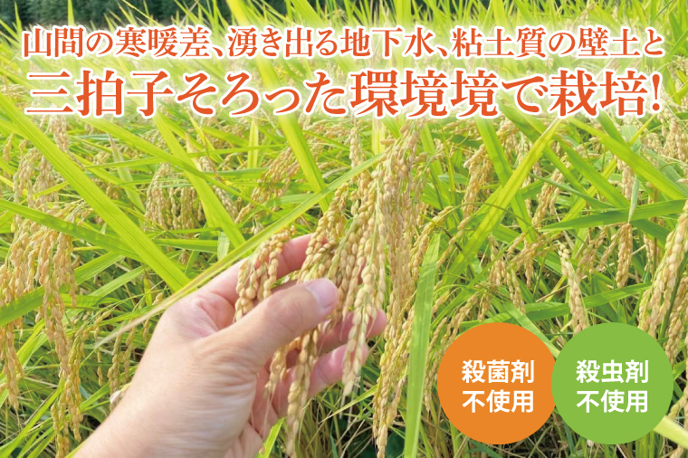 【茨城県共通返礼品・潮来市産】【先行予約】令和7年産新米 栽培期間出来るだけ農薬を減らして作る「かすみ米」（コシヒカリ）玄米5kg 【げんまい 減農薬 こしひかり おいしい おこめ 安心 安全 健康】（KBE-108）