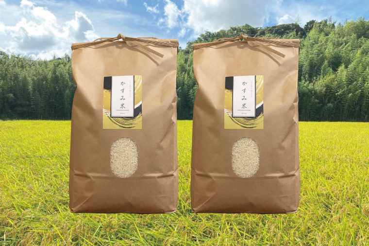 【茨城県共通返礼品・潮来市産】【先行予約】令和7年産新米　栽培期間出来るだけ農薬を減らして作る「かすみ米」（コシヒカリ）精米10kg 【減農薬 こしひかり おいしい おこめ 安心 安全 健康】（KBE-109）