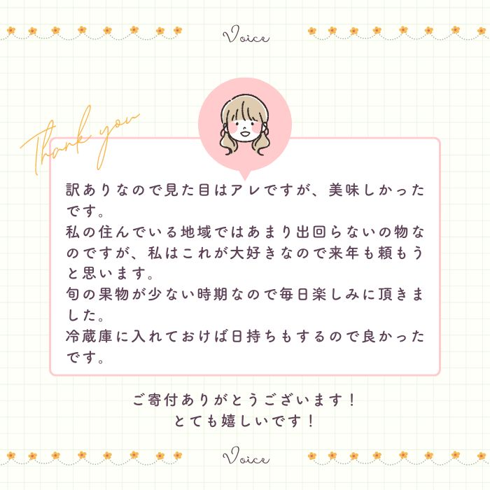【訳あり】  河内晩柑 10kg 木取り完熟  【発送期間: 2024年８月～ なくなり次第終了】 柑橘 みかん 愛南ゴールド 蜜柑 グレープフルーツ ゼリー ジュース アイス 果物 フルーツ サイズミックス 規格外 吉本農園