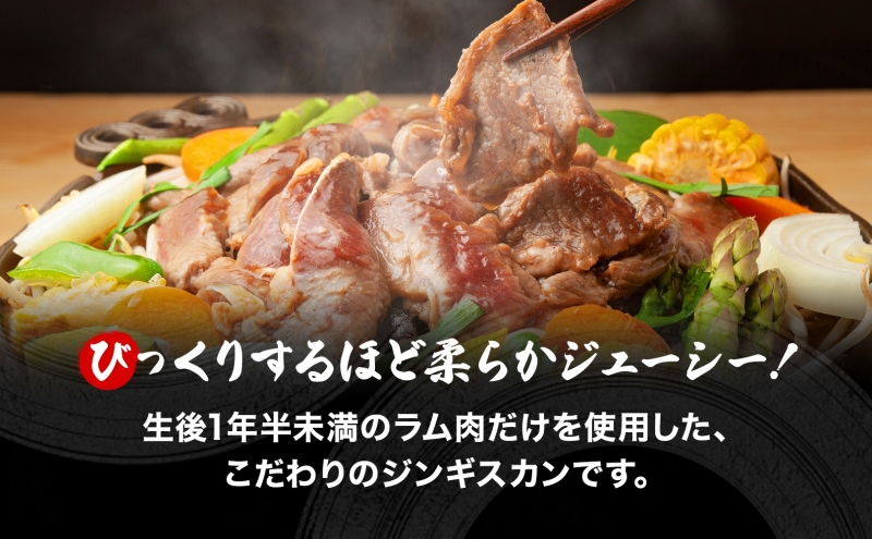 さかいのジンギスカン 味付けラム 500g 肉 焼肉 BBQ ジンギスカン 味付き 子羊 お肉 羊 羊肉 ジビエ 時短 パーティー お取り寄せ 肉のさかい 酒井畜産 送料無料 北海道 月形町