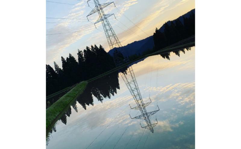 【通年受付】令和7年産魚沼産特別栽培米コシヒカリ［清津の恵］精米10kg（5kgx２袋）全12回 十日町市 十日町 米