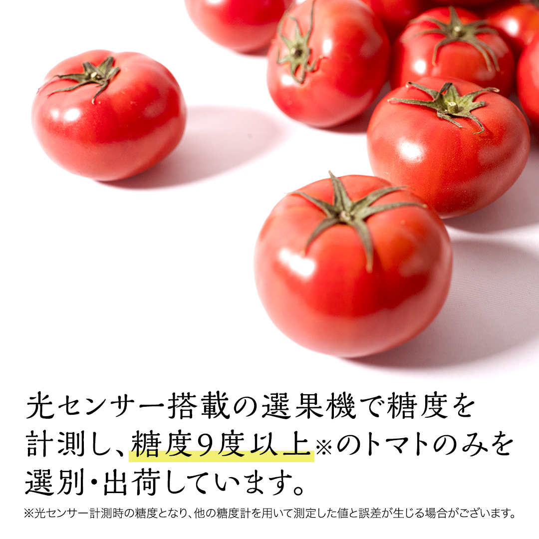 yona　高糖度訳ありフルーツトマト6キロ　増量中 yona 高糖度訳ありフルーツトマト6キロ 増量中 楽天市場】高知県春野