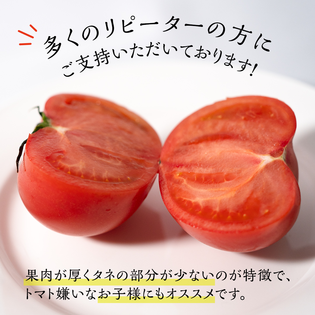スーパーフルーツトマト 中箱 約1.2kg × 2箱 【大玉 12～15玉/1