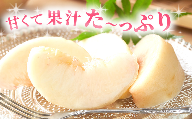 岡山県産 加納岩白桃 ロイヤル 14個入り 岡山県産加納岩白桃ロイヤル 14個入り