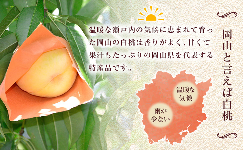 岡山県産加納岩白桃 13個入り 加納岩白桃 自宅用 2k箱 | とかり