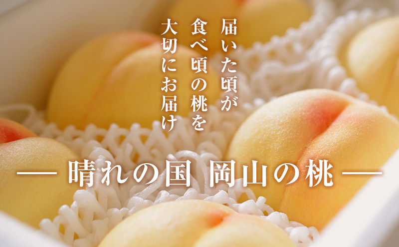 2025年 先行予約 】 桃 岡山県産 加納岩 白桃 約1.5kg (5～7玉